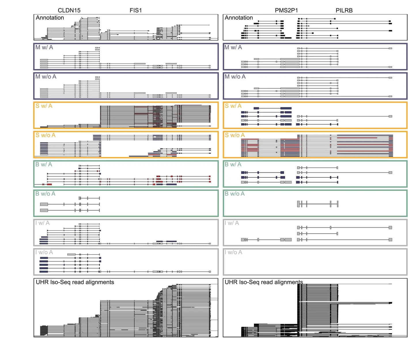 Open access visualization of Workflow, Illustration, Genome Browser View, Genomic Loci, Annotated Isoforms