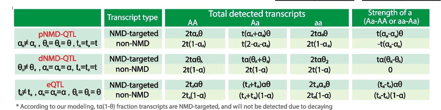 Open access visualization of Table Image, Allelic Effect Sizes, pNMD-QTL, dNMD-QTL, eQTL