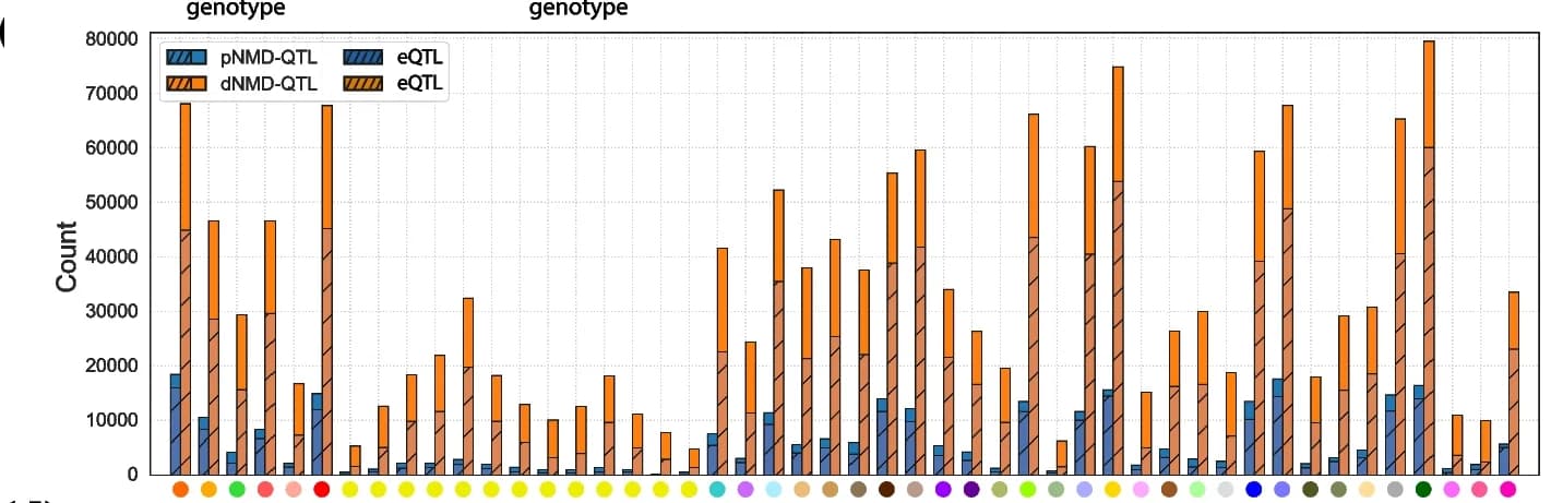 Open access visualization of Stacked Bar Plot, pNMD-QTL, dNMD-QTL, Tissues, eQTLs