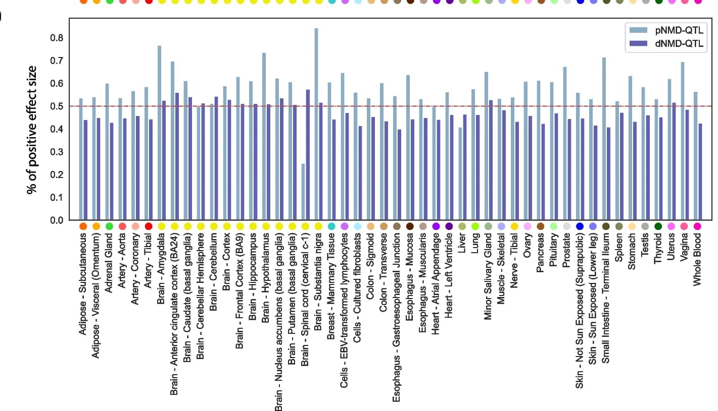 Open access visualization of Bar Plot, Clustered, pNMD-QTL, dNMD-QTL, NMD-targeted transcripts