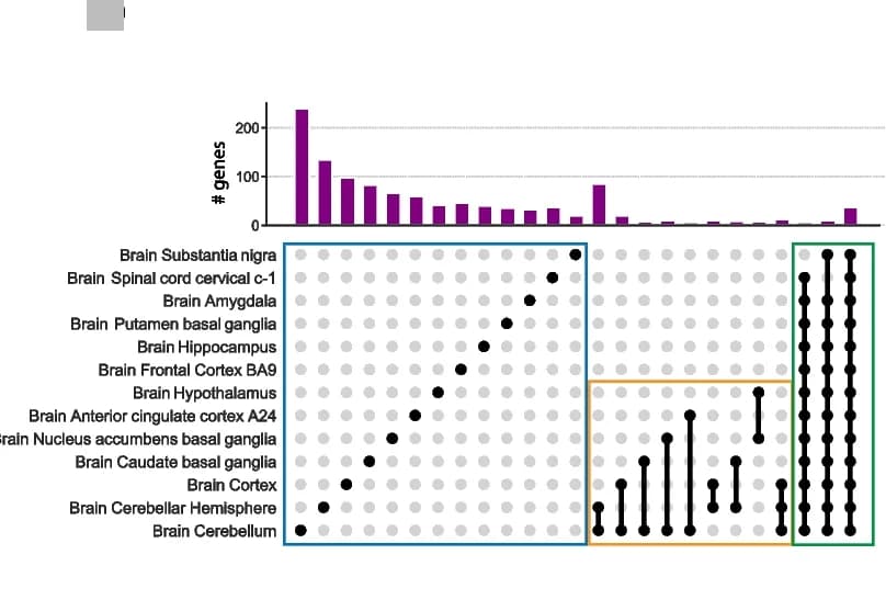Open access visualization of Bar Plot, Network, UpSet Plot, Brain Sub-region, Genes