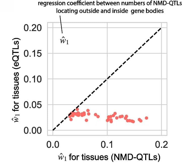 Open access visualization of Scatter Plot, Regression Plot, Coefficient estimations