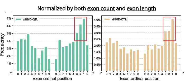 Open access visualization of Bar Plot, NMD-QTLs, Exon, Distribution