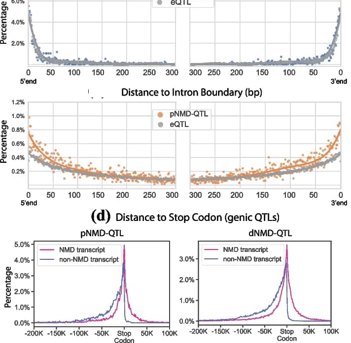 Open access visualization of Scatter Plot, Line Plot, Density Plot, Intron Boundaries, Variants