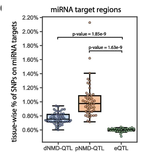 Open access visualization of Box Plot, Scatter Plot, NMD-QTLs, miRNA Targets, eQTLs