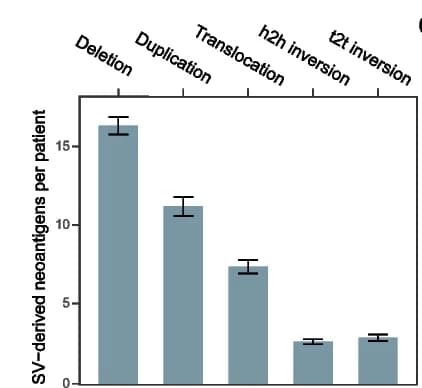 Open access visualization of Bar Plot, Error Bars, SV-derived neoantigens, SV type, Patients