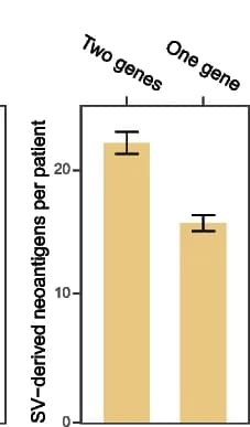Open access visualization of Bar Plot, Error Bars, SV-derived neoantigens, Genomic location, Genes