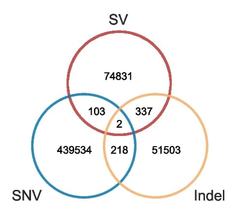 Open access visualization of Venn Diagram, Neoantigen Repertoire, SVs, SNVs, Indels