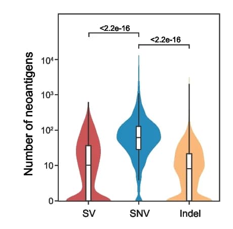 Open access visualization of Violin Plot, Box Plot, SVs, SNVs, Indels