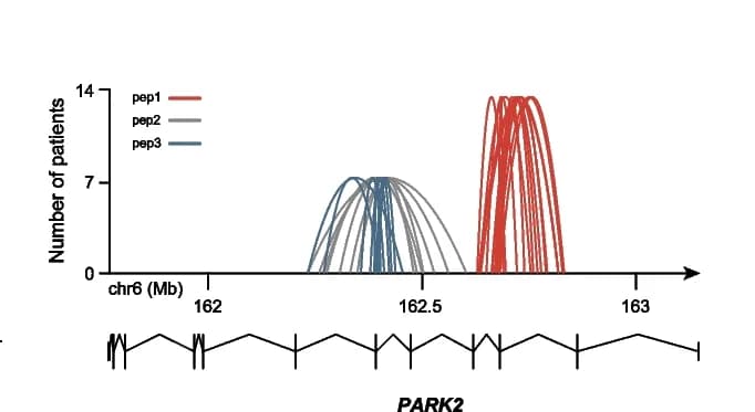 Open access visualization of Line Plot, Density Plot, Breakpoint Junctions, SVs, Neo-peptides