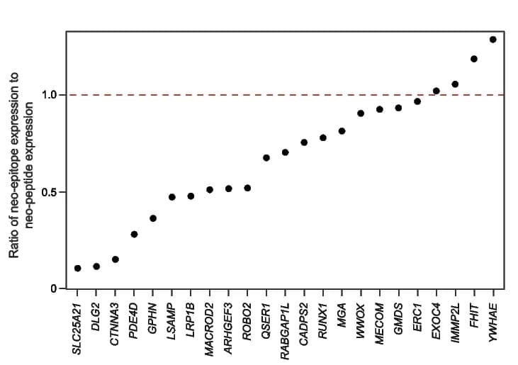 Open access visualization of Scatter Plot, Neo-peptide, Gene expression, Neoantigen, Samples