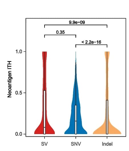 Open access visualization of Violin Plot, Box Plot, Intratumor Heterogeneity, SV-derived neoantigens, SNV-derived neoantigens