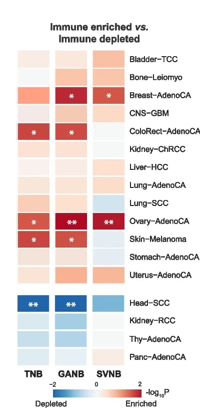 Open access visualization of Heatmap, TNB, GANB, SVNB, Immune-Enriched Tumors