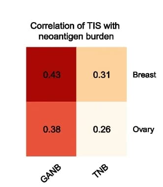 Open access visualization of Heatmap, TIS, Neoantigen Load, TNB, GANB