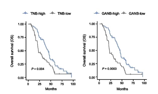 Open access visualization of Survival Curve, Kaplan-Meier Curves, Ovary Adenocarcinoma, TNB, GANB