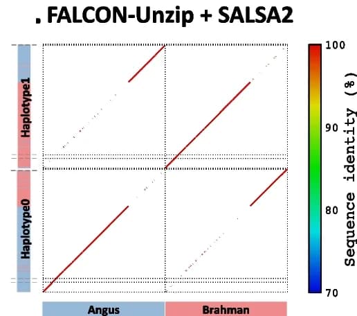 Open access visualization of Heatmap, FALCON-Unzip, SALSA2, Alignment, Benchmark