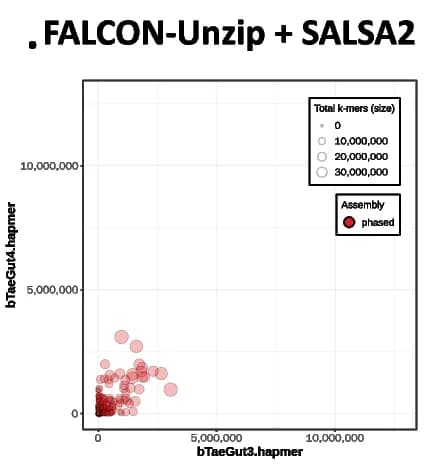 Open access visualization of Scatter Plot, Bubble Plot, FALCON-Unzip, SALSA2