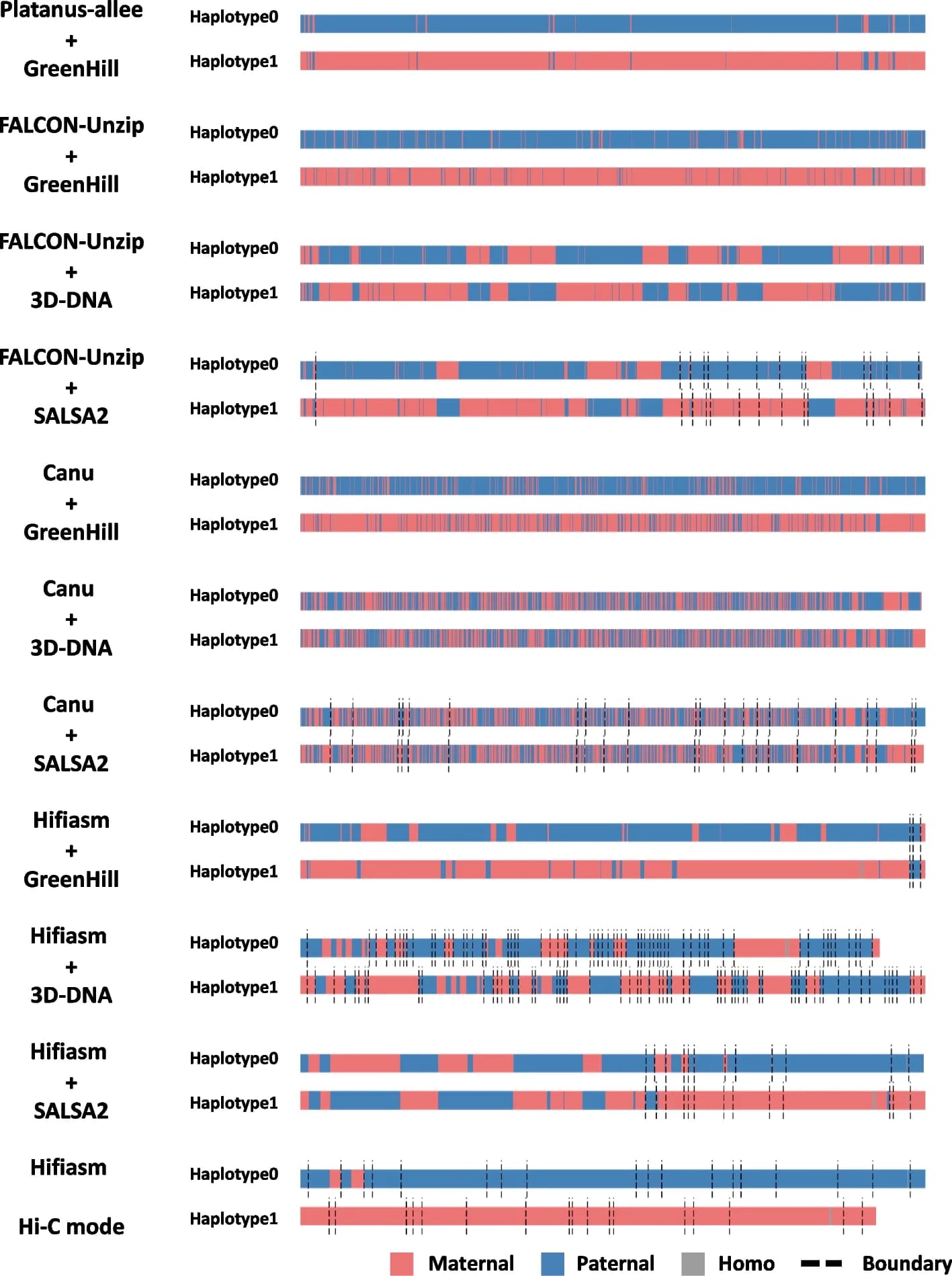 Open access visualization of Bar Plot, Haplotype, Zebra Finch, Chromosome 3, Scaffold