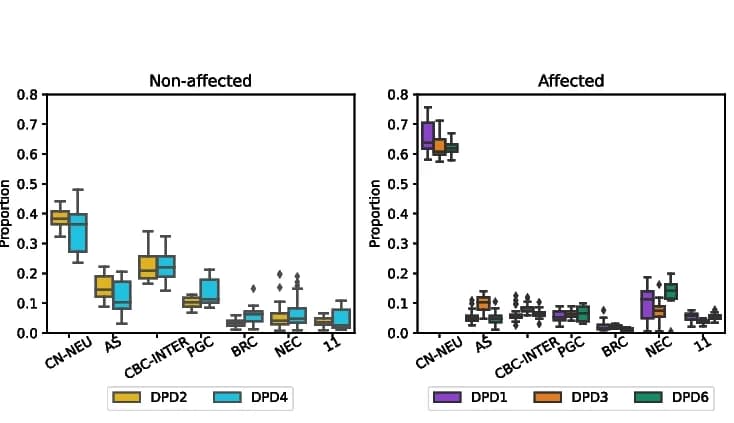 Open access visualization of Box Plot, Inferred proportions, Cell types, BEDwARS deconvolution, Bulk RNA-seq data