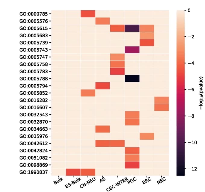 Open access visualization of Heatmap, Gene Ontology, GO term enrichment, Differentially expressed genes, Bulk samples