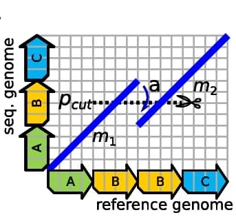 Open access visualization of Illustration, Reference Genome, Sequenced Genome, Seeds, Overlap Elimination