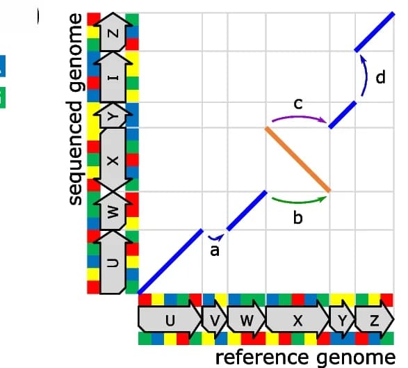Open access visualization of Workflow, Illustration, Genomic Rearrangement, Dot-Plot, Breakend Pairs