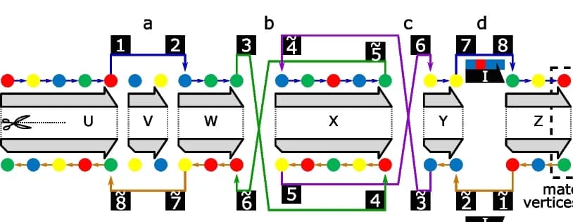 Open access visualization of Workflow, Flowchart, Illustration, Skew-Symmetric Graph, Genomic Rearrangement