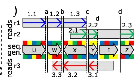 Open access visualization of Workflow, Illustration, Reads, Sequenced Genome, MEMs