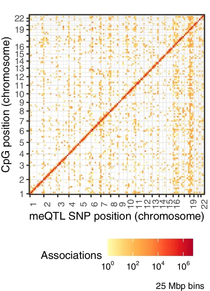 Open access visualization of Heatmap, meQTL, CpG Sites, SNPs, Genomic Distribution