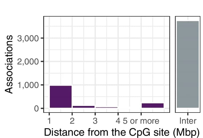 Open access visualization of Bar Plot, CpG Sites, trans-meQTL, SNPs, Distance