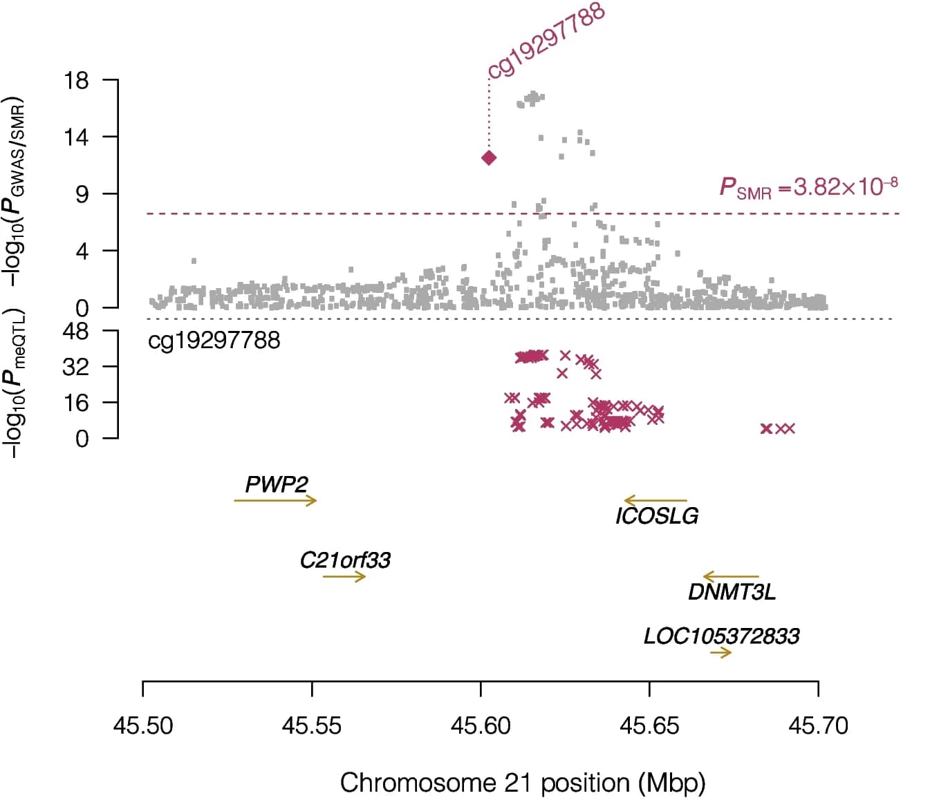 Open access visualization of Scatter Plot, Manhattan Plot, Locus Association Plot, SNPs, IBD GWAS