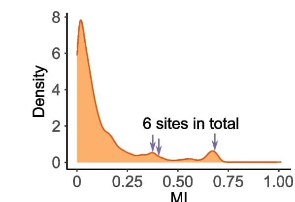 Open access visualization of Density Plot, Editing Sites, Mutual Information, REDIportal