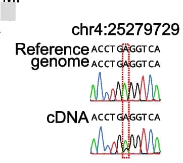 Open access visualization of Line Plot, Sanger Sequencing, Editing Sites