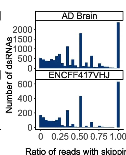 Open access visualization of Histogram, Double-Stranded RNA, Region Skipping, Read Fraction