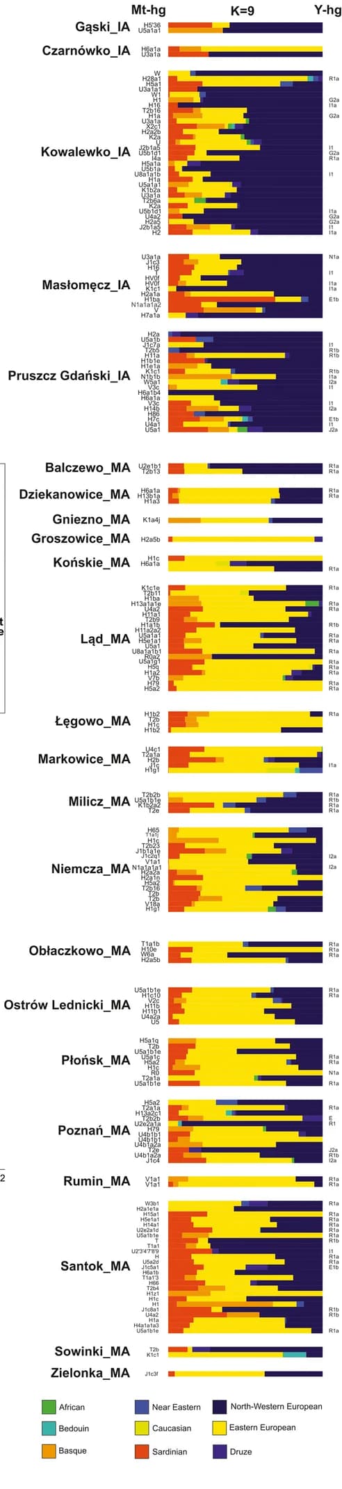 Open access visualization of Stacked Bar Plot, Ancestry Proportions, Iron Age, Middle Ages, ADMIXTURE