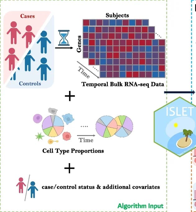 Open access visualization of Workflow, Pie Chart, Heatmap, ISLET, RNA-seq data