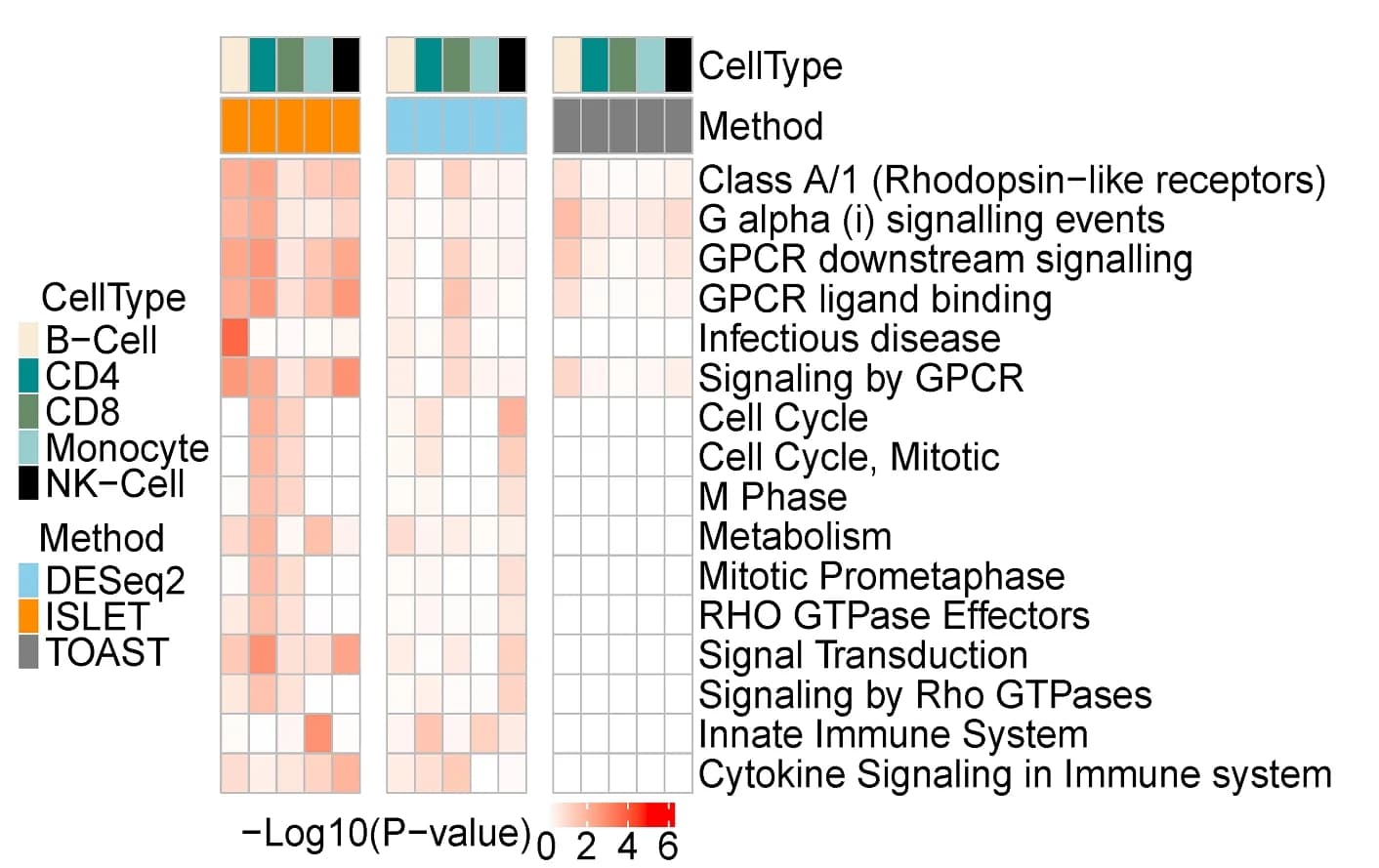 Open access visualization of Heatmap, Pathway Enrichment Analysis, Bulk RNA-seq data