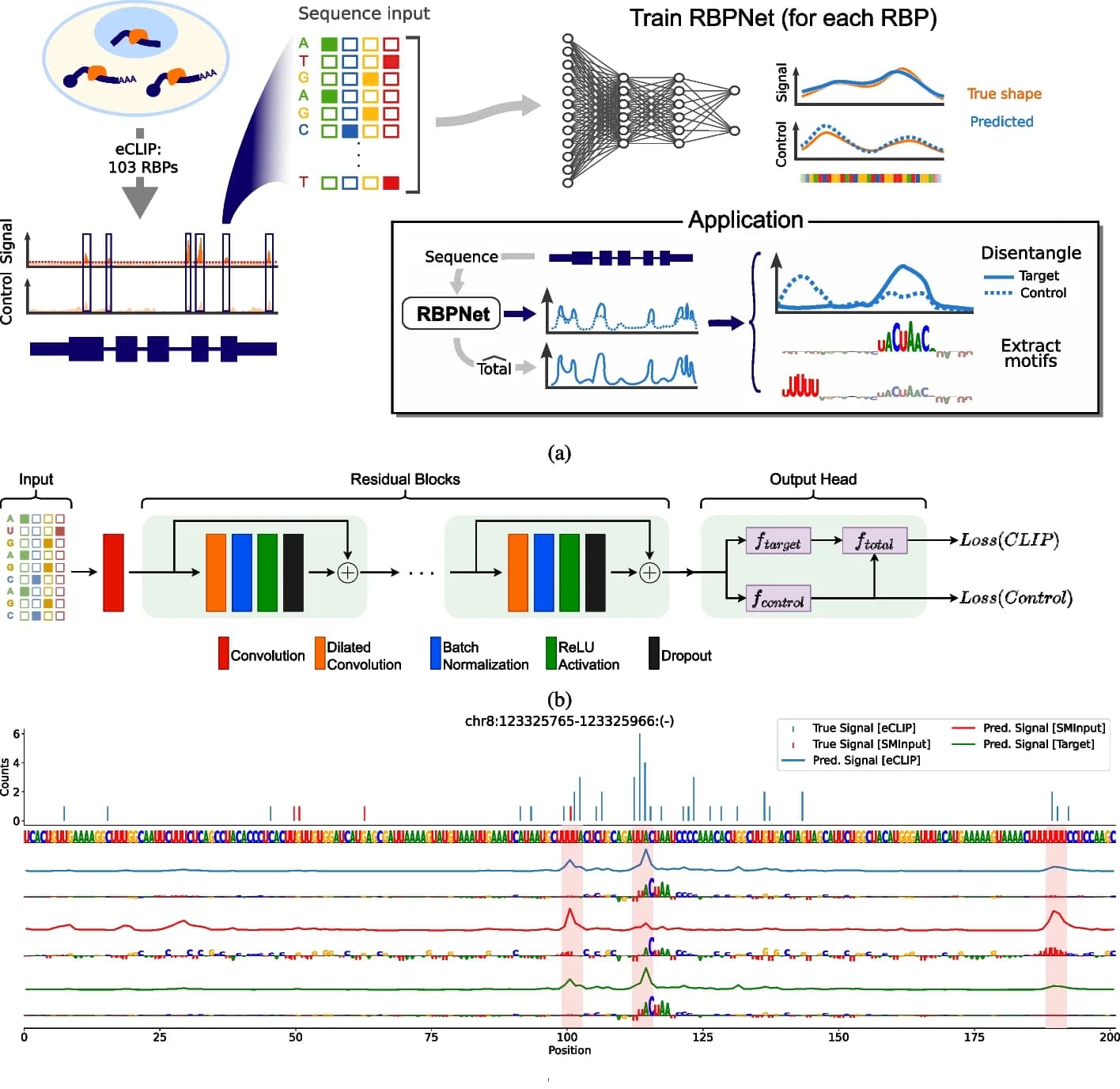 Open access visualization of Workflow, Line Plot, Bar Plot, RBPNet Model, eCLIP Data