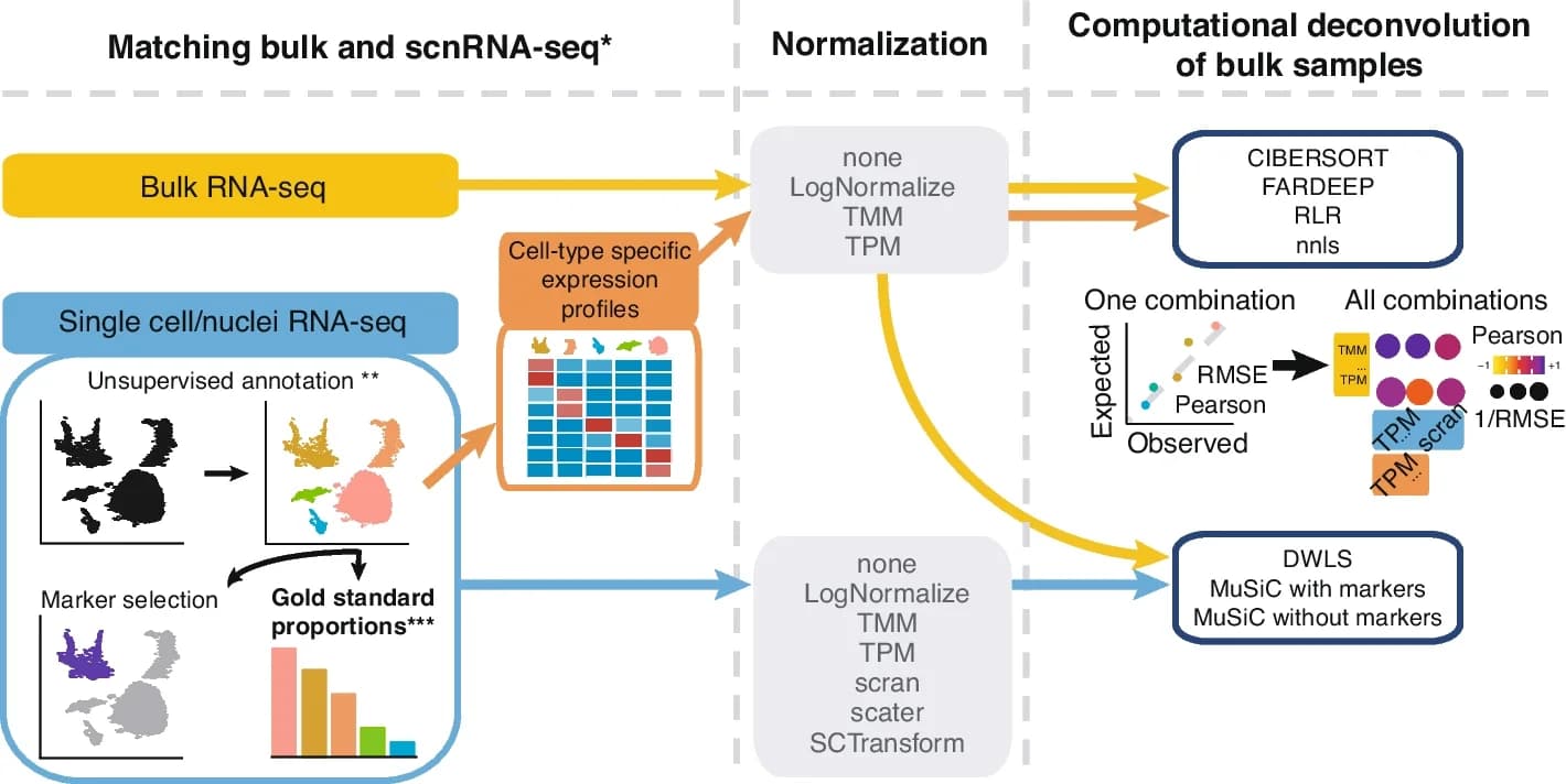 Open access visualization of Workflow, Flowchart, Bar Plot, Scatter Plot, Heatmap