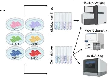 Open access visualization of Workflow, Illustration, Breast Cancer Cells, Leukemia Cells, Human Mesenchymal Stem Cells