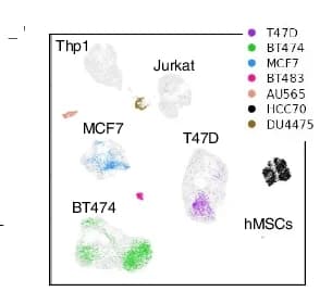 Open access visualization of UMAP, scRNA-seq, Cell Mixtures, Breast Cancer Cells, Negative Controls