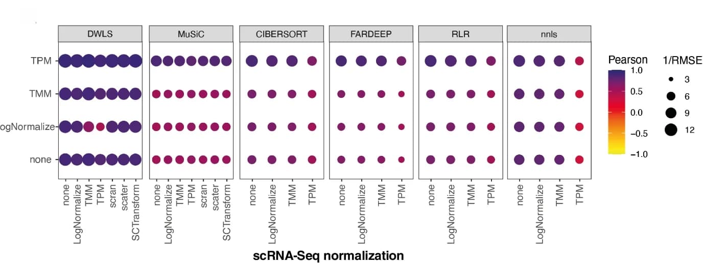 Open access visualization of Bubble Plot, RNA-seq, scRNA-seq, Normalization, Deconvolution