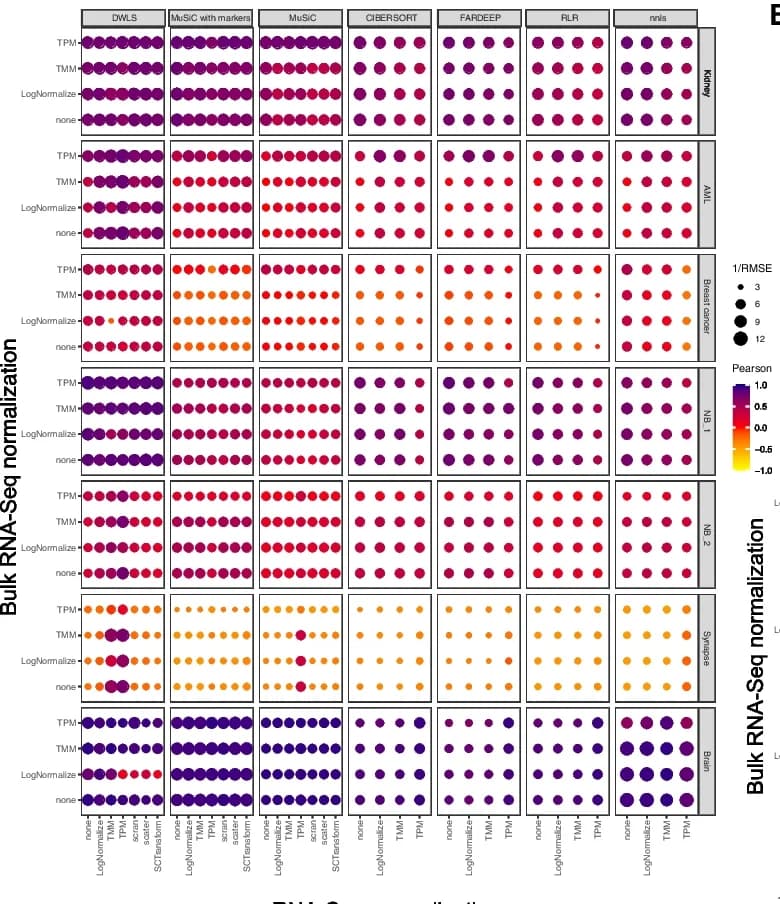 Open access visualization of Bubble Plot, Bulk RNA-seq, scRNA-seq, Normalization strategies, Deconvolution methods