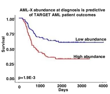 Open access visualization of Survival Curve, SQUID, AML-X, TARGET, Diagnostic biopsies