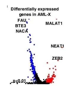 Open access visualization of Volcano Plot, Scatter Plot, lncRNAs, MALAT1, NEAT1