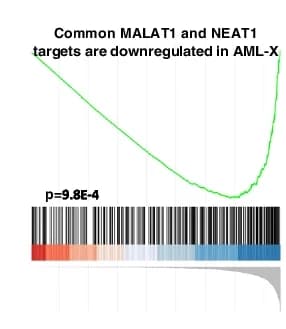 Open access visualization of Line Plot, Density Plot, lncRNAs, MALAT1, NEAT1