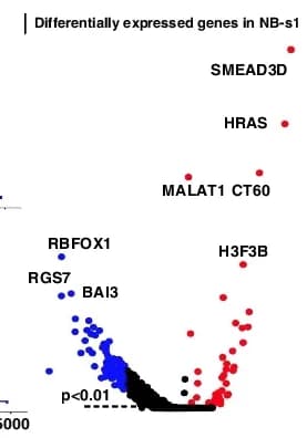 Open access visualization of Volcano Plot, Scatter Plot, NB-s1, SEMA3D, HRAS