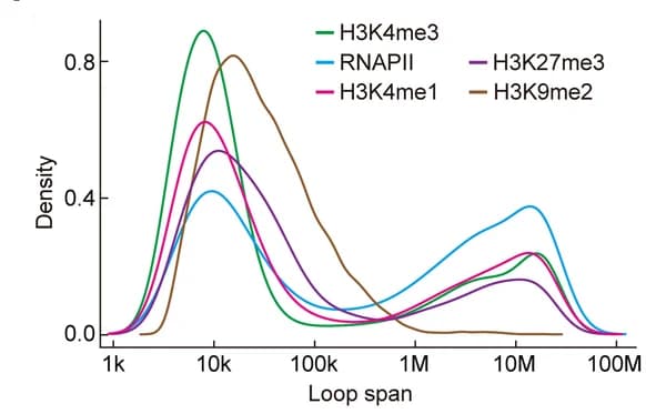 Open access visualization of Line Plot, Density Plot, Loop Span Distribution, Interactions