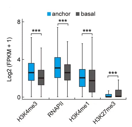 Open access visualization of Box Plot, Expression Levels, Anchor Genes, Basal Genes, Wilcoxon Test