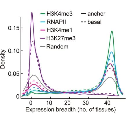 Open access visualization of Line Plot, Density Plot, Expression Breadth, Anchor Genes, Basal Genes